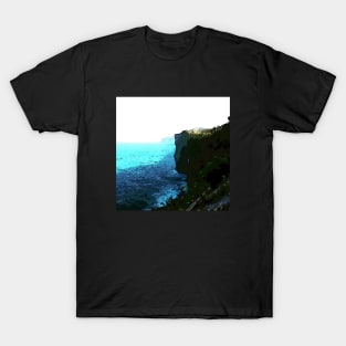 Cliffs rock garden T-Shirt